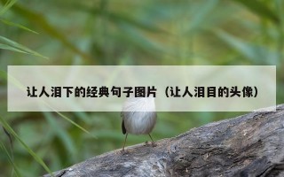 让人泪下的经典句子图片（让人泪目的头像）