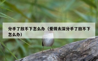 分手了放不下怎么办（爱得太深分手了放不下怎么办）