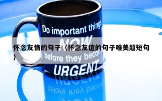 怀念友情的句子（怀念友谊的句子唯美超短句）