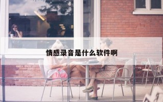 情感录音是什么软件啊