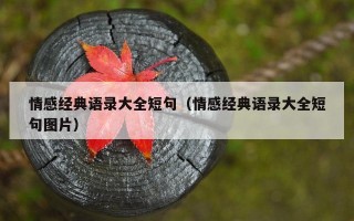 情感经典语录大全短句（情感经典语录大全短句图片）