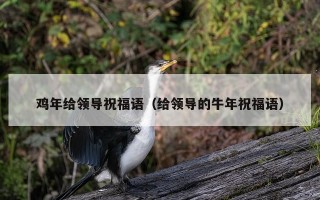 鸡年给领导祝福语（给领导的牛年祝福语）