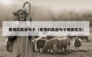 爱情的英语句子（爱情的英语句子唯美短文）
