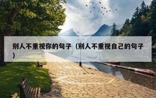 别人不重视你的句子（别人不重视自己的句子）
