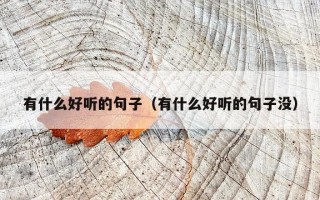 有什么好听的句子（有什么好听的句子没）