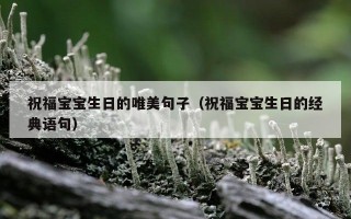 祝福宝宝生日的唯美句子（祝福宝宝生日的经典语句）