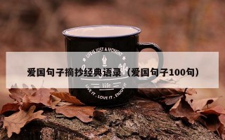爱国句子摘抄经典语录（爱国句子100句）