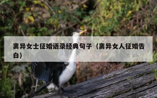 离异女士征婚语录经典句子（离异女人征婚告白）