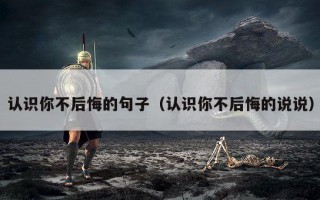 认识你不后悔的句子（认识你不后悔的说说）