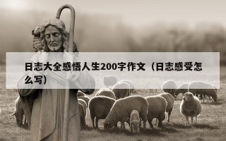 日志大全感悟人生200字作文（日志感受怎么写）