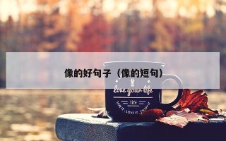 像的好句子（像的短句）
