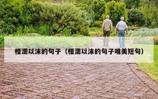 相濡以沫的句子（相濡以沫的句子唯美短句）