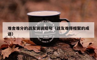 难舍难分的战友说说短句（战友难得相聚的成语）