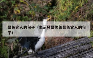 景色宜人的句子（表示风景优美景色宜人的句子）