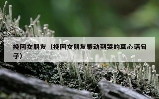 挽回女朋友（挽回女朋友感动到哭的真心话句子）