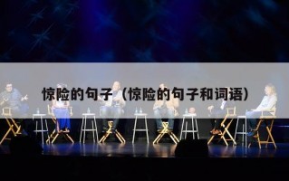 惊险的句子（惊险的句子和词语）