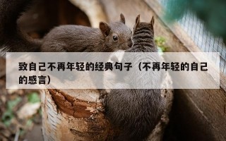 致自己不再年轻的经典句子（不再年轻的自己的感言）