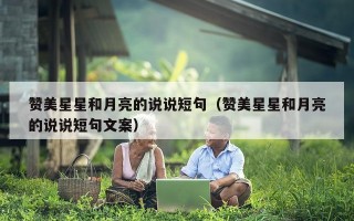赞美星星和月亮的说说短句（赞美星星和月亮的说说短句文案）
