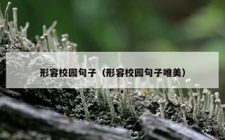 形容校园句子（形容校园句子唯美）