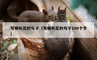 写喇叭花的句子（写喇叭花的句子100个字）