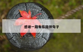 感谢一路有你陪伴句子