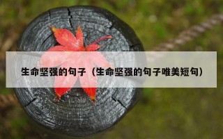 生命坚强的句子（生命坚强的句子唯美短句）