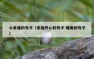 小幸福的句子（幸福开心的句子 唯美的句子）