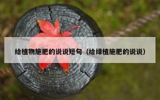 给植物施肥的说说短句（给绿植施肥的说说）