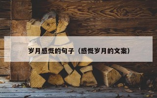 岁月感慨的句子（感慨岁月的文案）
