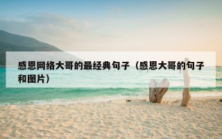 感恩网络大哥的最经典句子（感恩大哥的句子和图片）