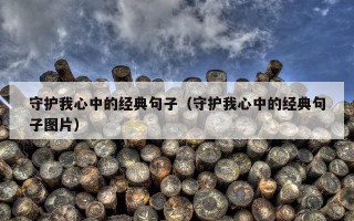 守护我心中的经典句子（守护我心中的经典句子图片）