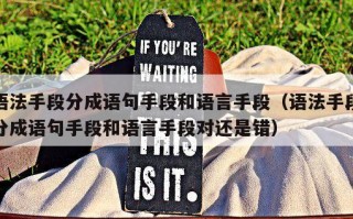 语法手段分成语句手段和语言手段（语法手段分成语句手段和语言手段对还是错）