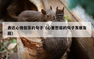 表达心情低落的句子（心里憋屈的句子发朋友圈）