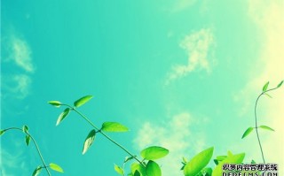 愚人节祝福短句经典合集102句