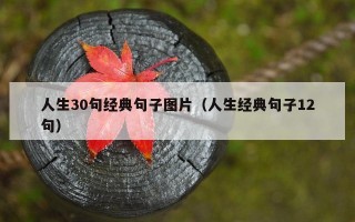 人生30句经典句子图片（人生经典句子12句）