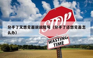 分手了又想见面说说短句（分手了还想见面怎么办）