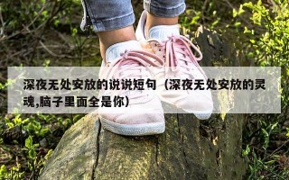 深夜无处安放的说说短句（深夜无处安放的灵魂,脑子里面全是你）