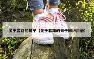 关于套路的句子（关于套路的句子网络用语）