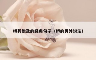 桥其他及的经典句子（桥的另外说法）