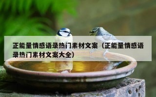 正能量情感语录热门素材文案（正能量情感语录热门素材文案大全）