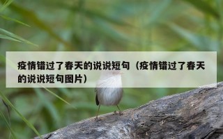 疫情错过了春天的说说短句（疫情错过了春天的说说短句图片）