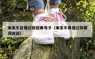 来生不在错过你经典句子（来生不再错过你歌词说说）