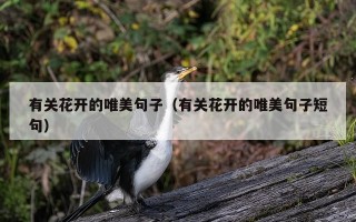 有关花开的唯美句子（有关花开的唯美句子短句）