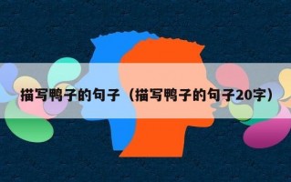 描写鸭子的句子（描写鸭子的句子20字）