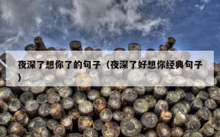 夜深了想你了的句子（夜深了好想你经典句子）