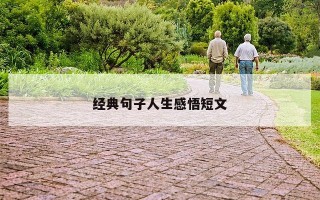 经典句子人生感悟短文
