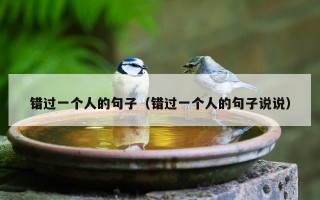 错过一个人的句子（错过一个人的句子说说）
