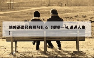 情感语录经典短句扎心（短短一句,说透人生）