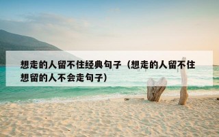 想走的人留不住经典句子（想走的人留不住 想留的人不会走句子）
