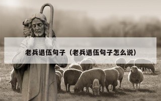 老兵退伍句子（老兵退伍句子怎么说）